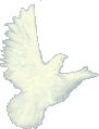 Dove