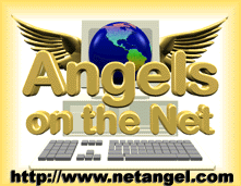 Net Angel Logo