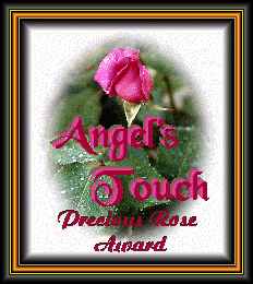 Angel's Touch Award